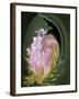 Abstract Flowers-Ellen Anon-Framed Photographic Print