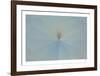 Abstract Focus-Paige Craig-Framed Limited Edition