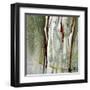 Abstract Forest 2-Kathleen Cloutier-Framed Art Print