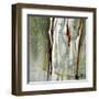 Abstract Forest 2-Kathleen Cloutier-Framed Art Print