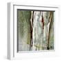 Abstract Forest 2-Kathleen Cloutier-Framed Art Print