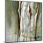 Abstract Forest 2-Kathleen Cloutier-Mounted Art Print