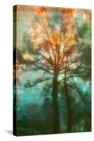 Abstract Forest-Viviane Fedieu Daniel-Stretched Canvas