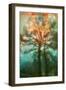 Abstract Forest-Viviane Fedieu Daniel-Framed Photographic Print