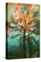 Abstract Forest-Viviane Fedieu Daniel-Stretched Canvas