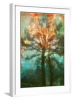 Abstract Forest-Viviane Fedieu Daniel-Framed Photographic Print