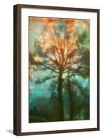 Abstract Forest-Viviane Fedieu Daniel-Framed Photographic Print