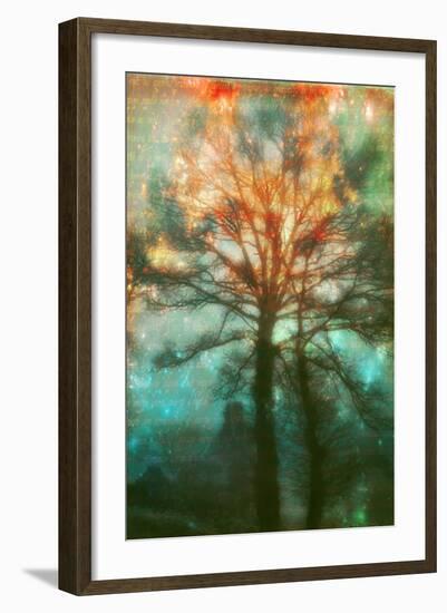 Abstract Forest-Viviane Fedieu Daniel-Framed Photographic Print