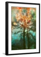 Abstract Forest-Viviane Fedieu Daniel-Framed Photographic Print