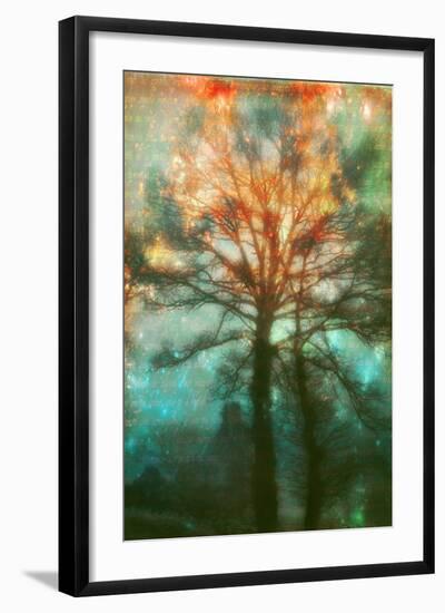 Abstract Forest-Viviane Fedieu Daniel-Framed Photographic Print