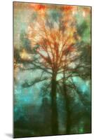 Abstract Forest-Viviane Fedieu Daniel-Mounted Photographic Print