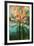 Abstract Forest-Viviane Fedieu Daniel-Framed Photographic Print