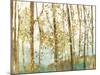 Abstract Forest-Allison Pearce-Mounted Art Print