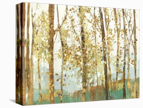 Abstract Forest-Allison Pearce-Stretched Canvas