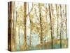 Abstract Forest-Allison Pearce-Stretched Canvas