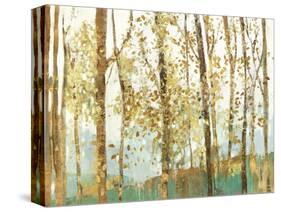 Abstract Forest-Allison Pearce-Stretched Canvas