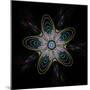 Abstract Fractal Image of Puffed Colorful Star Flower-fbatista72-Mounted Premium Giclee Print