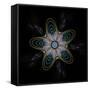 Abstract Fractal Image of Puffed Colorful Star Flower-fbatista72-Framed Stretched Canvas