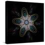 Abstract Fractal Image of Puffed Colorful Star Flower-fbatista72-Stretched Canvas