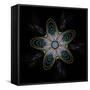 Abstract Fractal Image of Puffed Colorful Star Flower-fbatista72-Framed Stretched Canvas