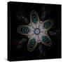 Abstract Fractal Image of Puffed Colorful Star Flower-fbatista72-Stretched Canvas