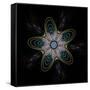 Abstract Fractal Image of Puffed Colorful Star Flower-fbatista72-Framed Stretched Canvas