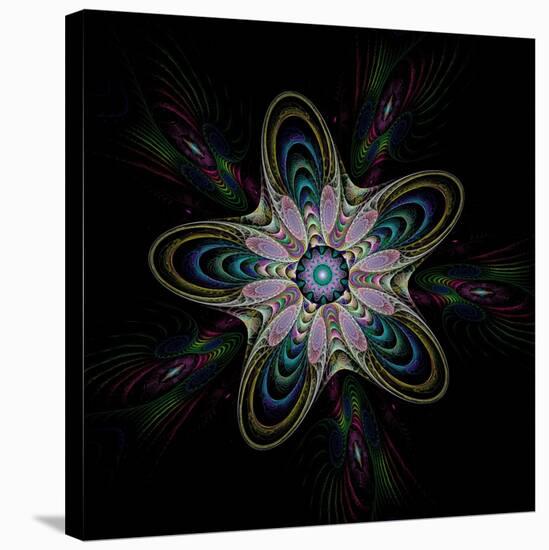 Abstract Fractal Image of Puffed Colorful Star Flower-fbatista72-Stretched Canvas