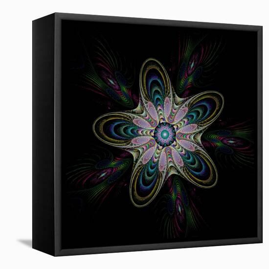 Abstract Fractal Image of Puffed Colorful Star Flower-fbatista72-Framed Stretched Canvas