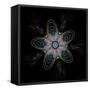 Abstract Fractal Image of Puffed Colorful Star Flower-fbatista72-Framed Stretched Canvas