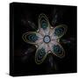 Abstract Fractal Image of Puffed Colorful Star Flower-fbatista72-Stretched Canvas