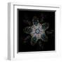 Abstract Fractal Image of Puffed Colorful Star Flower-fbatista72-Framed Art Print