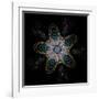 Abstract Fractal Image of Puffed Colorful Star Flower-fbatista72-Framed Art Print