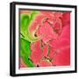 Abstract Fractals Pink And Green-Cora Niele-Framed Giclee Print