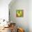 Abstract Fruits I-Chariklia Zarris-Art Print displayed on a wall