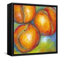 Abstract Fruits II-Chariklia Zarris-Framed Stretched Canvas