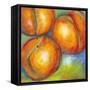 Abstract Fruits II-Chariklia Zarris-Framed Stretched Canvas