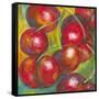 Abstract Fruits III-Chariklia Zarris-Framed Stretched Canvas