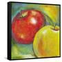 Abstract Fruits IV-Chariklia Zarris-Framed Stretched Canvas