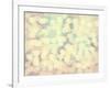 Abstract Gentle Romantic Background-flurno-Framed Photographic Print