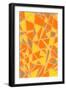 Abstract Geometric Pattern-Found Image Press-Framed Giclee Print