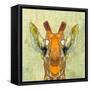 Abstract Giraffe Calf-Ancello-Framed Stretched Canvas