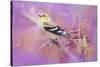 Abstract Goldfinch-Jai Johnson-Stretched Canvas