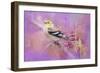 Abstract Goldfinch-Jai Johnson-Framed Giclee Print