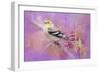 Abstract Goldfinch-Jai Johnson-Framed Giclee Print