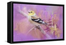 Abstract Goldfinch-Jai Johnson-Framed Stretched Canvas