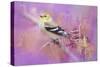 Abstract Goldfinch-Jai Johnson-Stretched Canvas