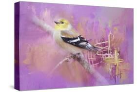 Abstract Goldfinch-Jai Johnson-Stretched Canvas