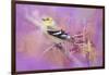 Abstract Goldfinch-Jai Johnson-Framed Giclee Print