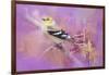 Abstract Goldfinch-Jai Johnson-Framed Giclee Print