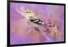 Abstract Goldfinch-Jai Johnson-Framed Giclee Print